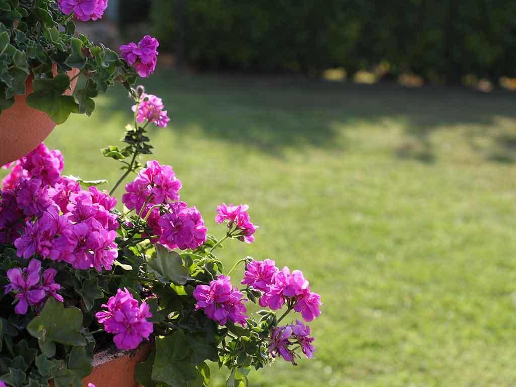 Da Rosa Bed And Breakfast Neviglie Luaran gambar